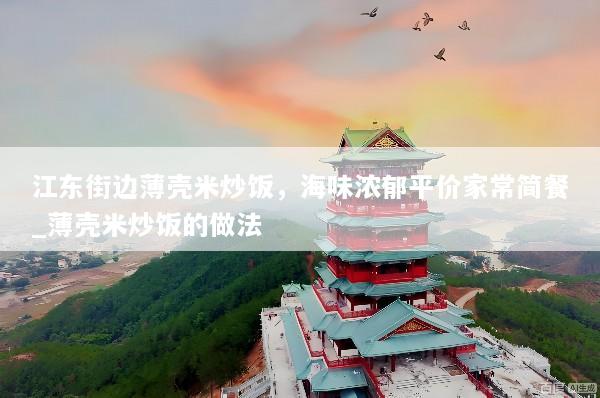 江东街边薄壳米炒饭，海味浓郁平价家常简餐_薄壳米炒饭的做法