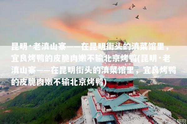 昆明·老滇山寨——在昆明街头的滇菜馆里，宜良烤鸭的皮脆肉嫩不输北京烤鸭(昆明·老滇山寨——在昆明街头的滇菜馆里，宜良烤鸭的皮脆肉嫩不输北京烤鸭)
