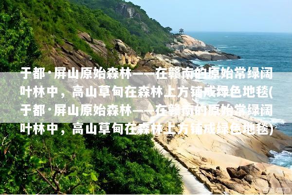 于都·屏山原始森林——在赣南的原始常绿阔叶林中，高山草甸在森林上方铺成绿色地毯(于都·屏山原始森林——在赣南的原始常绿阔叶林中，高山草甸在森林上方铺成绿色地毯)