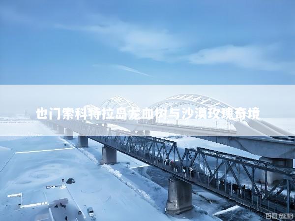 也门索科特拉岛龙血树与沙漠玫瑰奇境