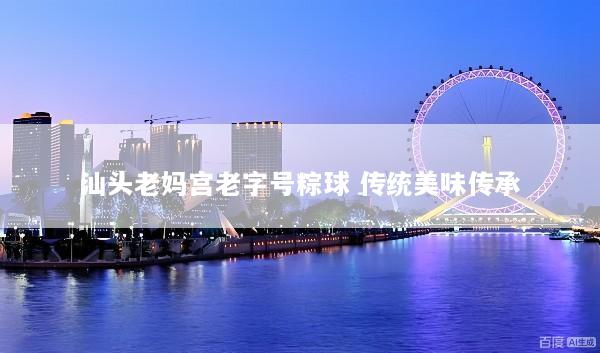 汕头老妈宫老字号粽球 传统美味传承