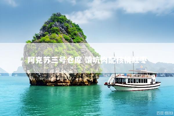 阿克苏三号仓库 馕坑肉配核桃红枣