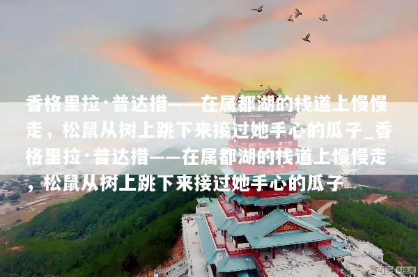 香格里拉·普达措——在属都湖的栈道上慢慢走，松鼠从树上跳下来接过她手心的瓜子_香格里拉·普达措——在属都湖的栈道上慢慢走，松鼠从树上跳下来接过她手心的瓜子