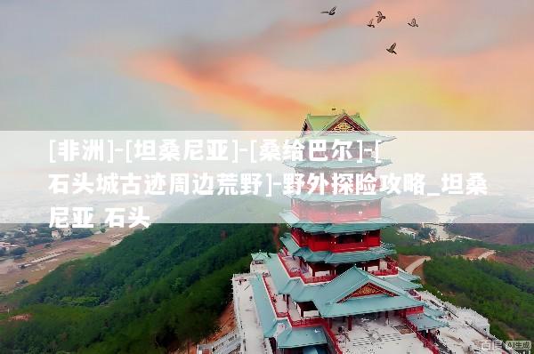 [非洲]-[坦桑尼亚]-[桑给巴尔]-[石头城古迹周边荒野]-野外探险攻略_坦桑尼亚 石头