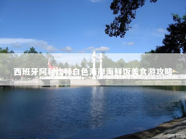 西班牙阿利坎特白色海岸海鲜饭美食游攻略